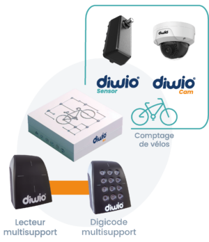 Options-Diwio Box