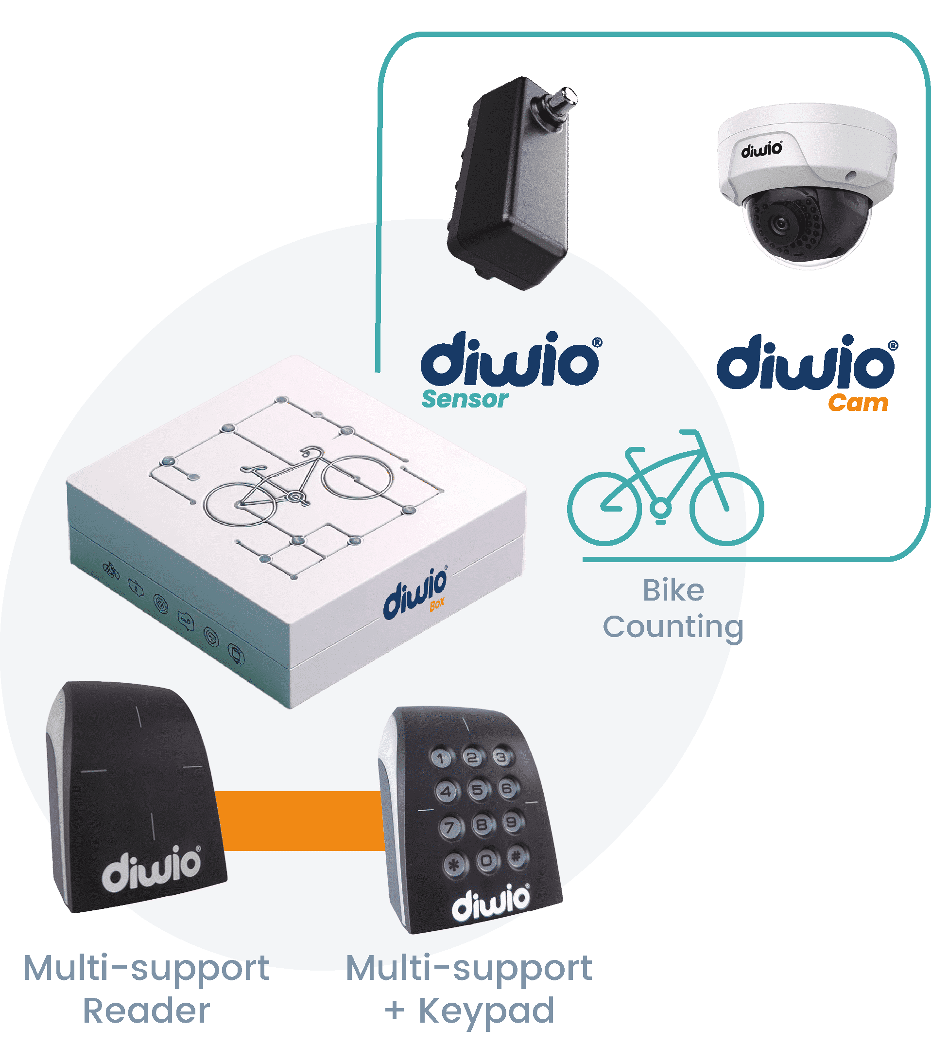 Options-Diwio Box_en