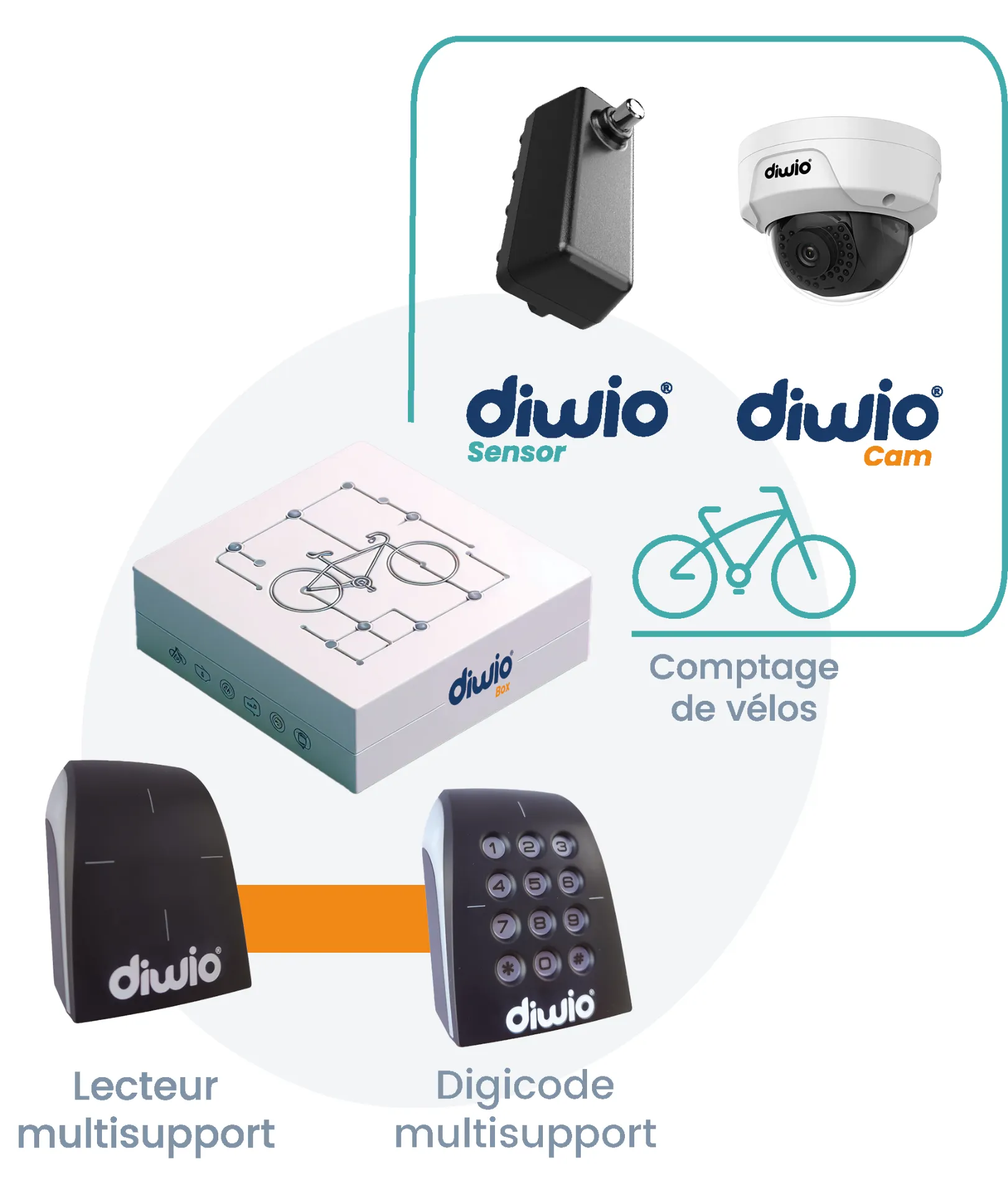 Options-Diwio-Box